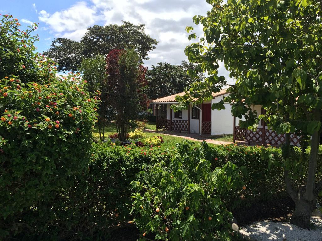 Hosteria Rosa Blanca Puembo Εξωτερικό φωτογραφία